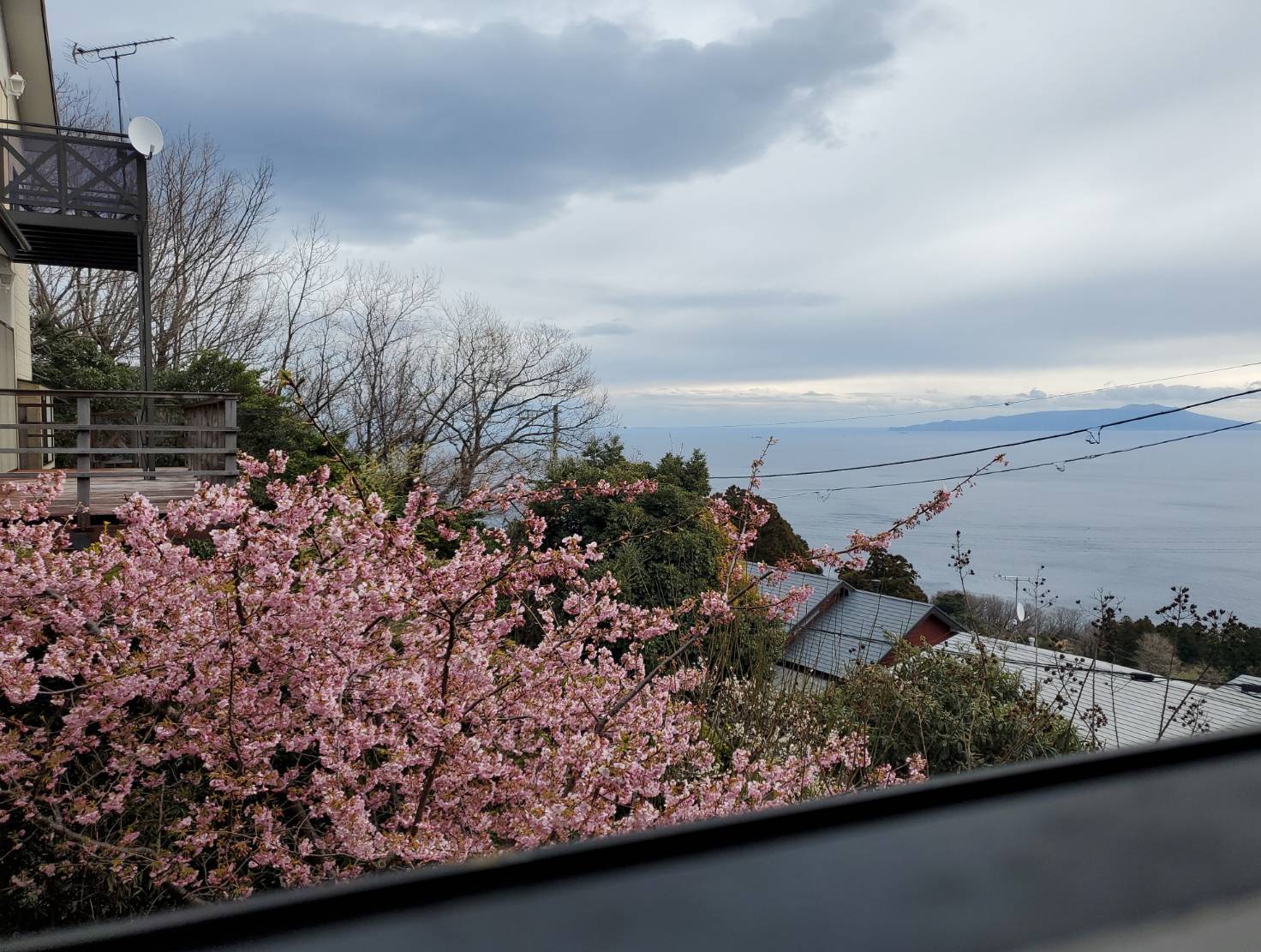 自社物件からの風景